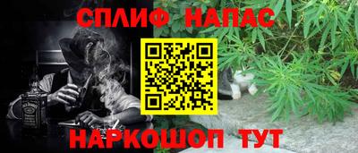 дживик Аша