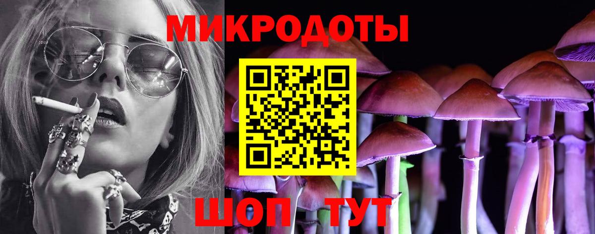 Галлюциногенные грибы Psilocybine cubensis Аргун