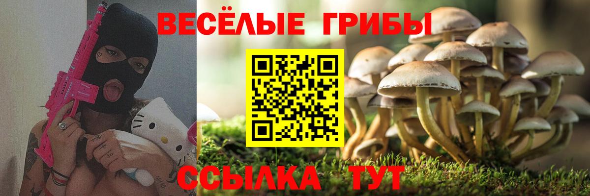 A PVP Аргун